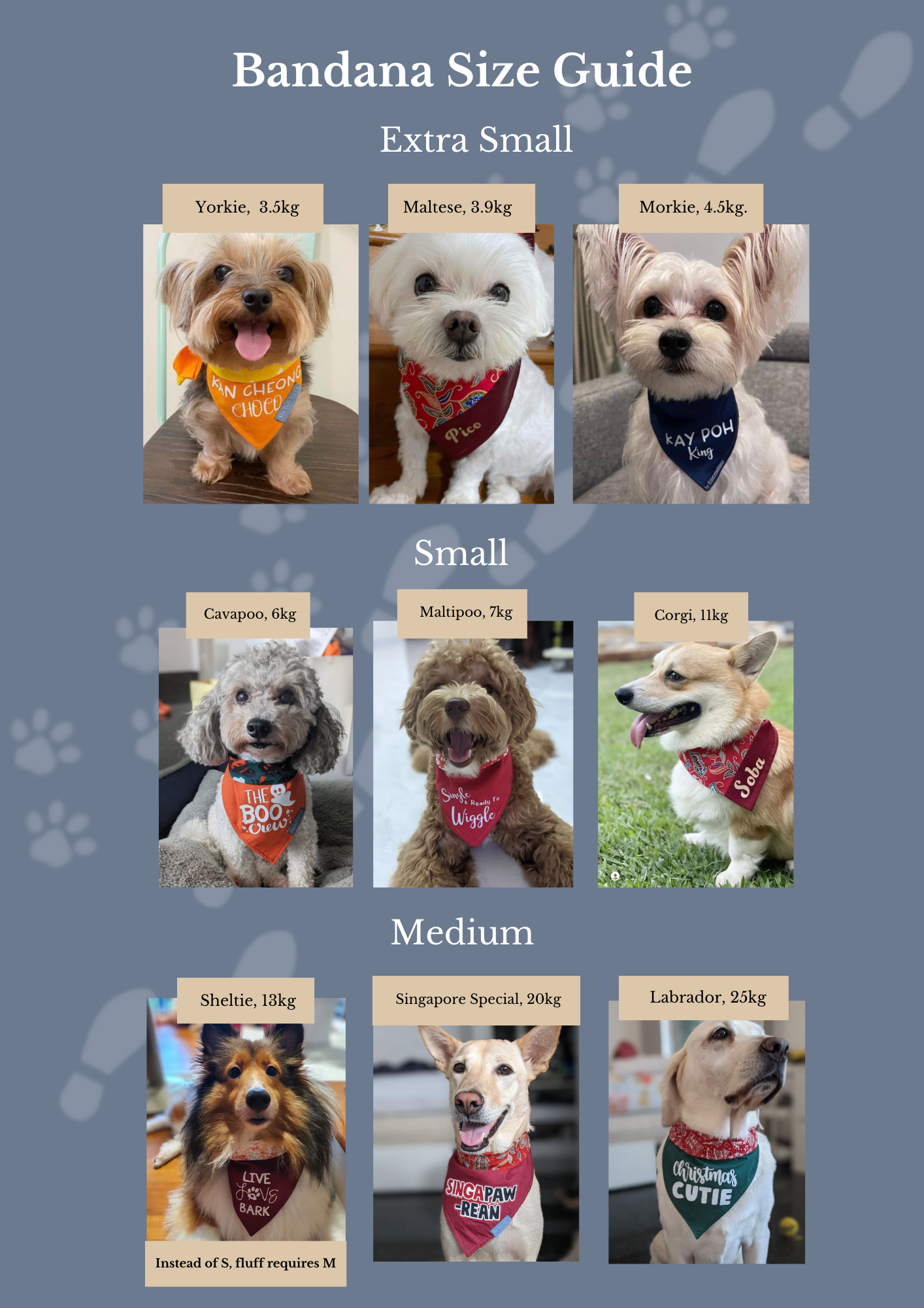 Medium: "Spoilt Princess Reversible Bandana