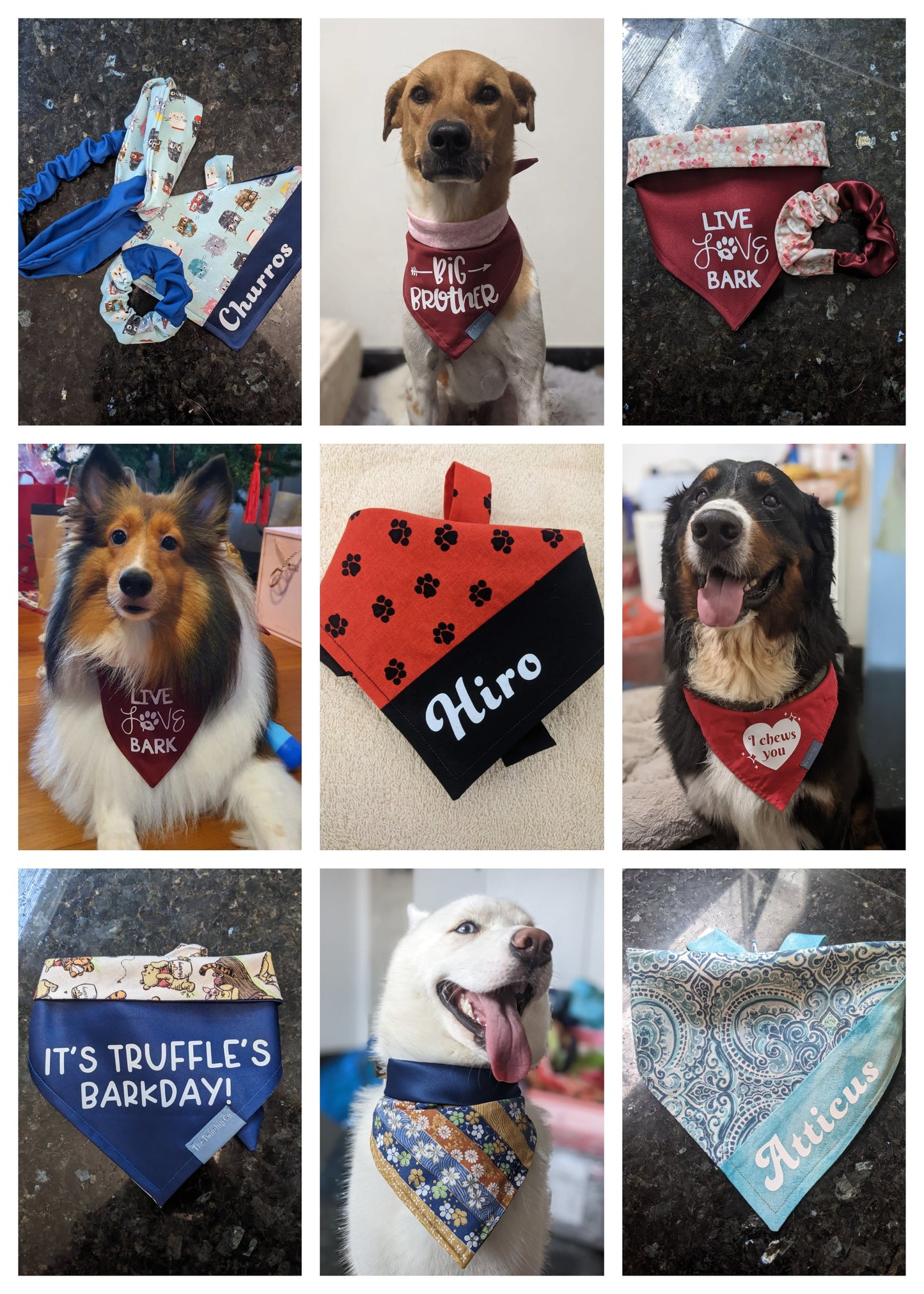 Paws & Feathers: Design-your-own Reversible Bandana