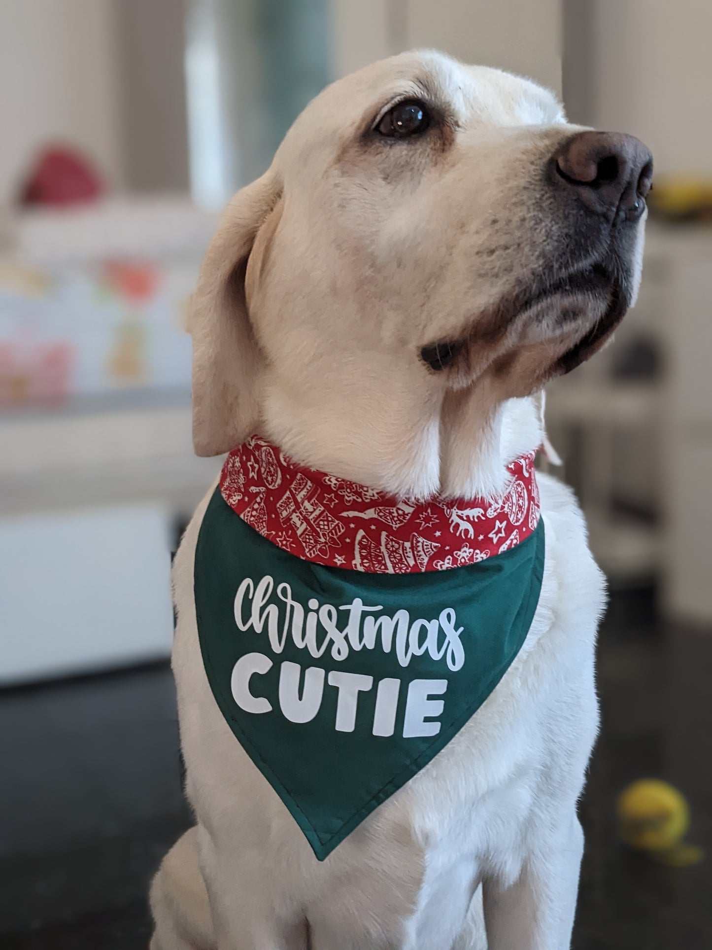 Design Your Christmas Reversible Bandana