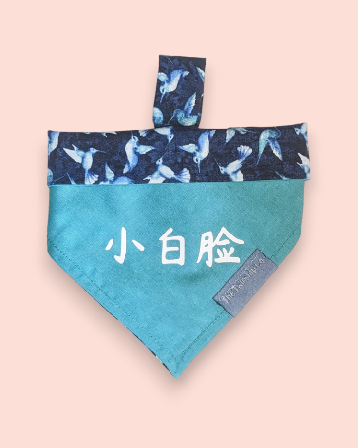 Extra Small: "小白脸“ Reversible Bandana