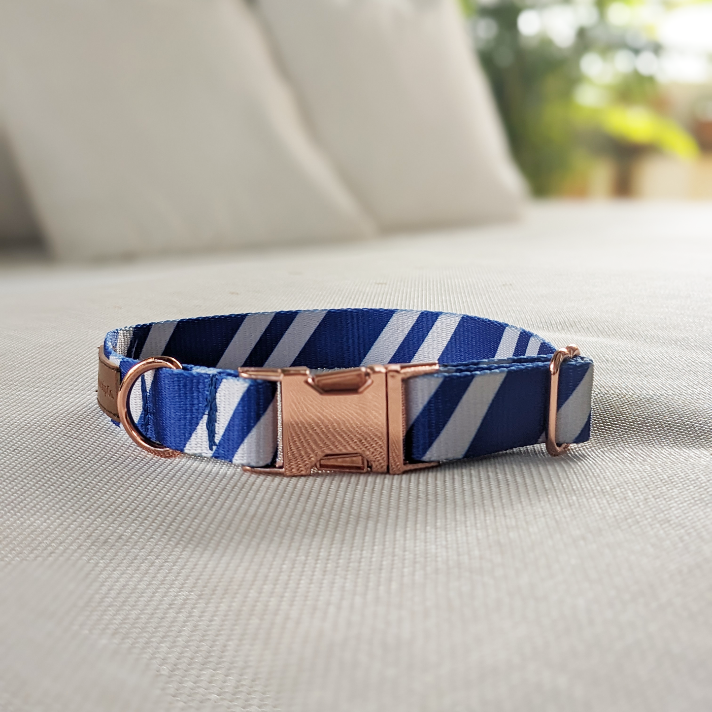 Small: Harry Potter Ravenclaw Classic Collar