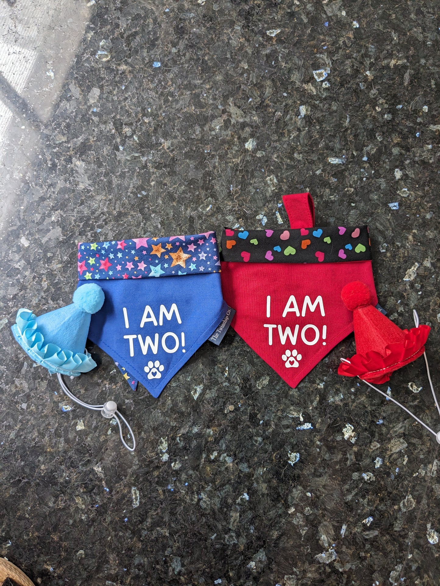 Design Your Reversible Birthday Bandana 🎂