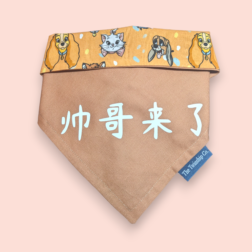 Medium: "我爸超帅" Reversible Bandana