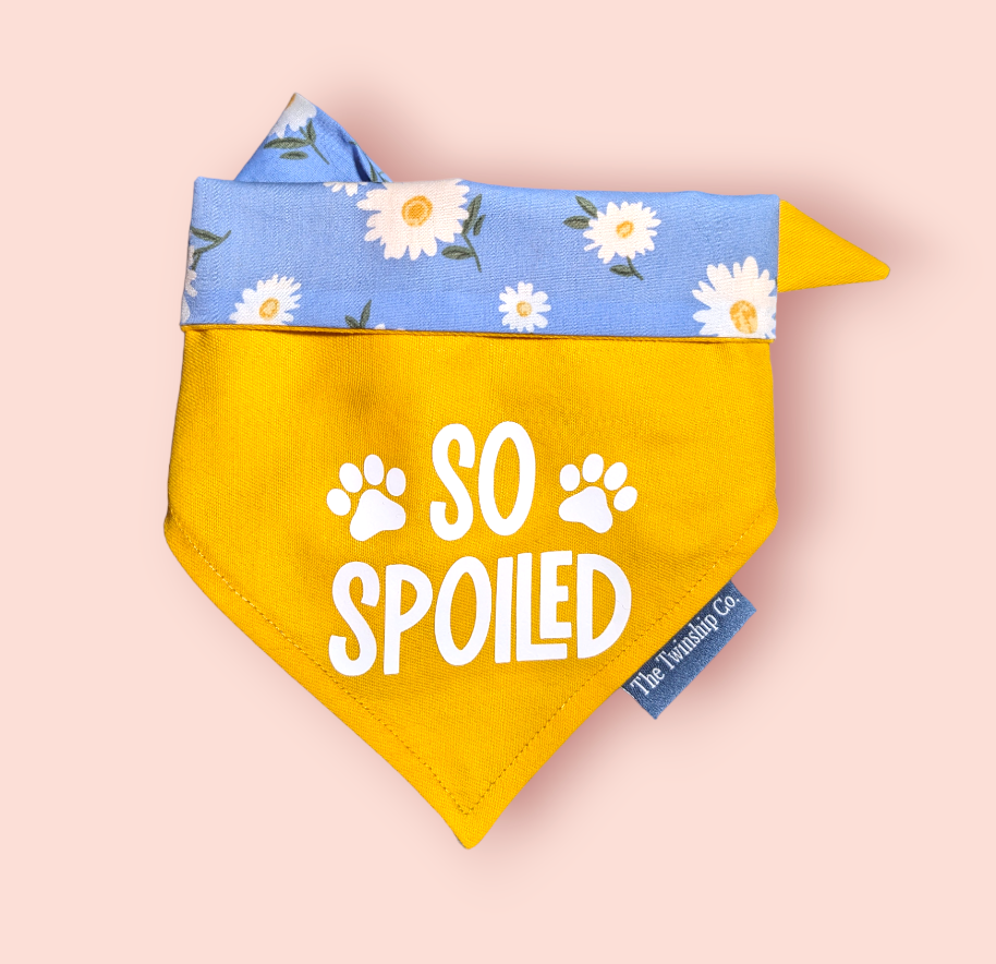 Small: "So Spoiled" Reversible Bandana