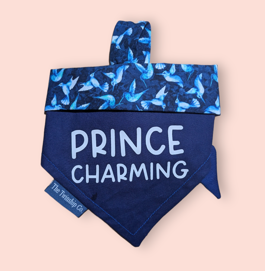 Small: "Prince Charming" Reversible Bandana