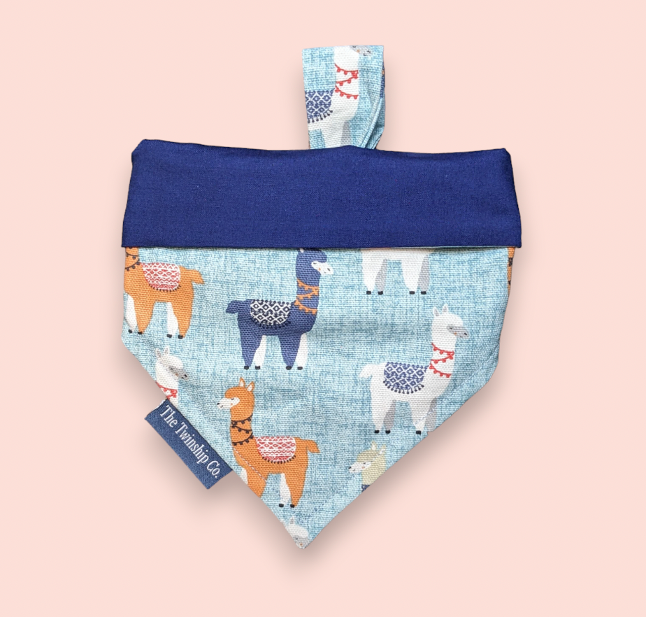 Small: "Prince Charming" Reversible Bandana