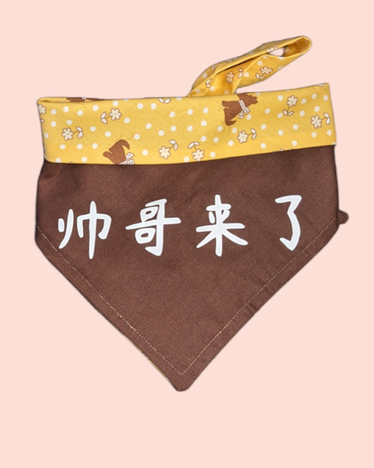 Small: "帅哥来了" Reversible Bandana