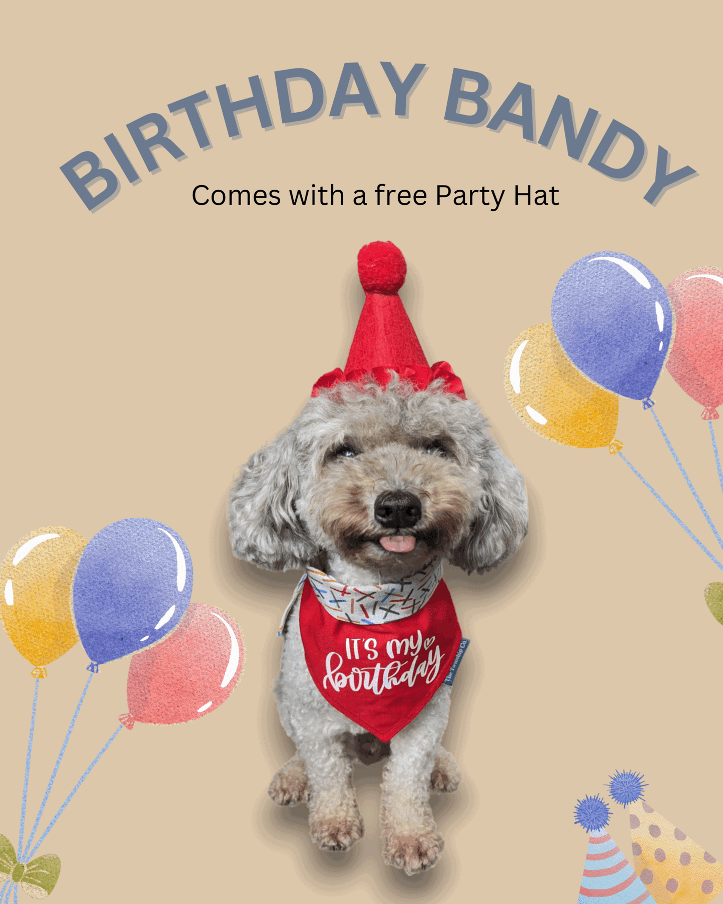 Design Your Reversible Birthday Bandana 🎂