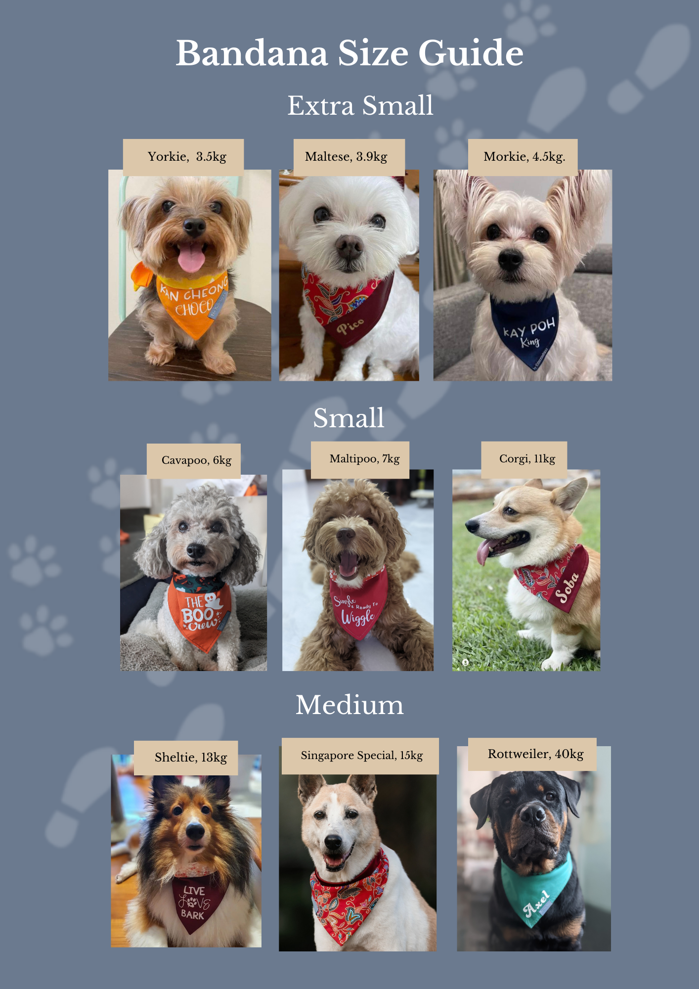 Design-your-own Reversible Bandana
