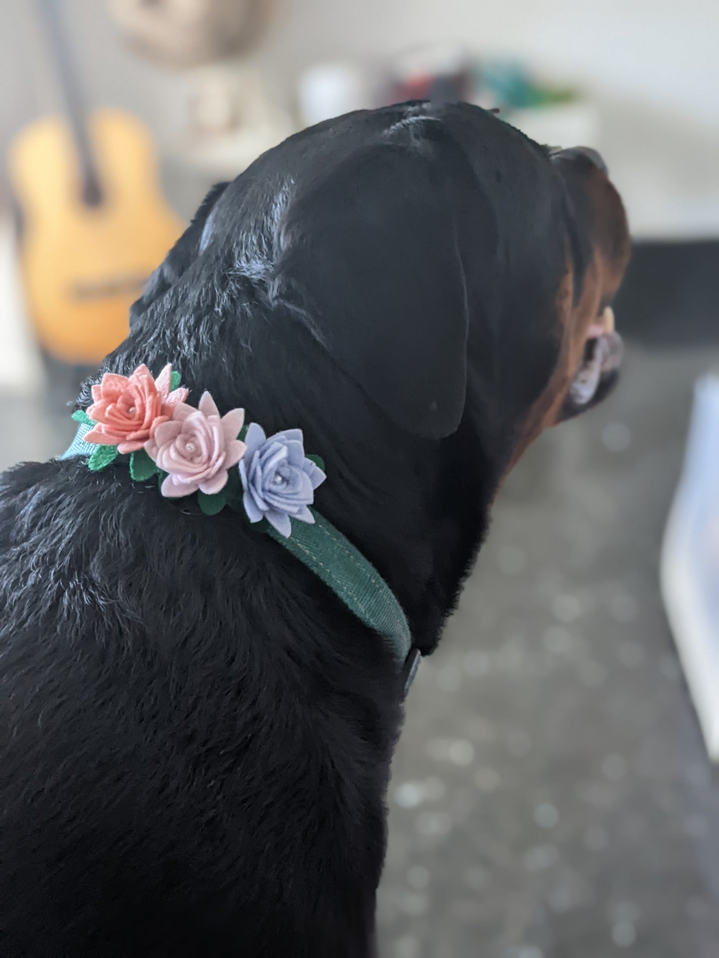 Pastel Hues Floral Charms