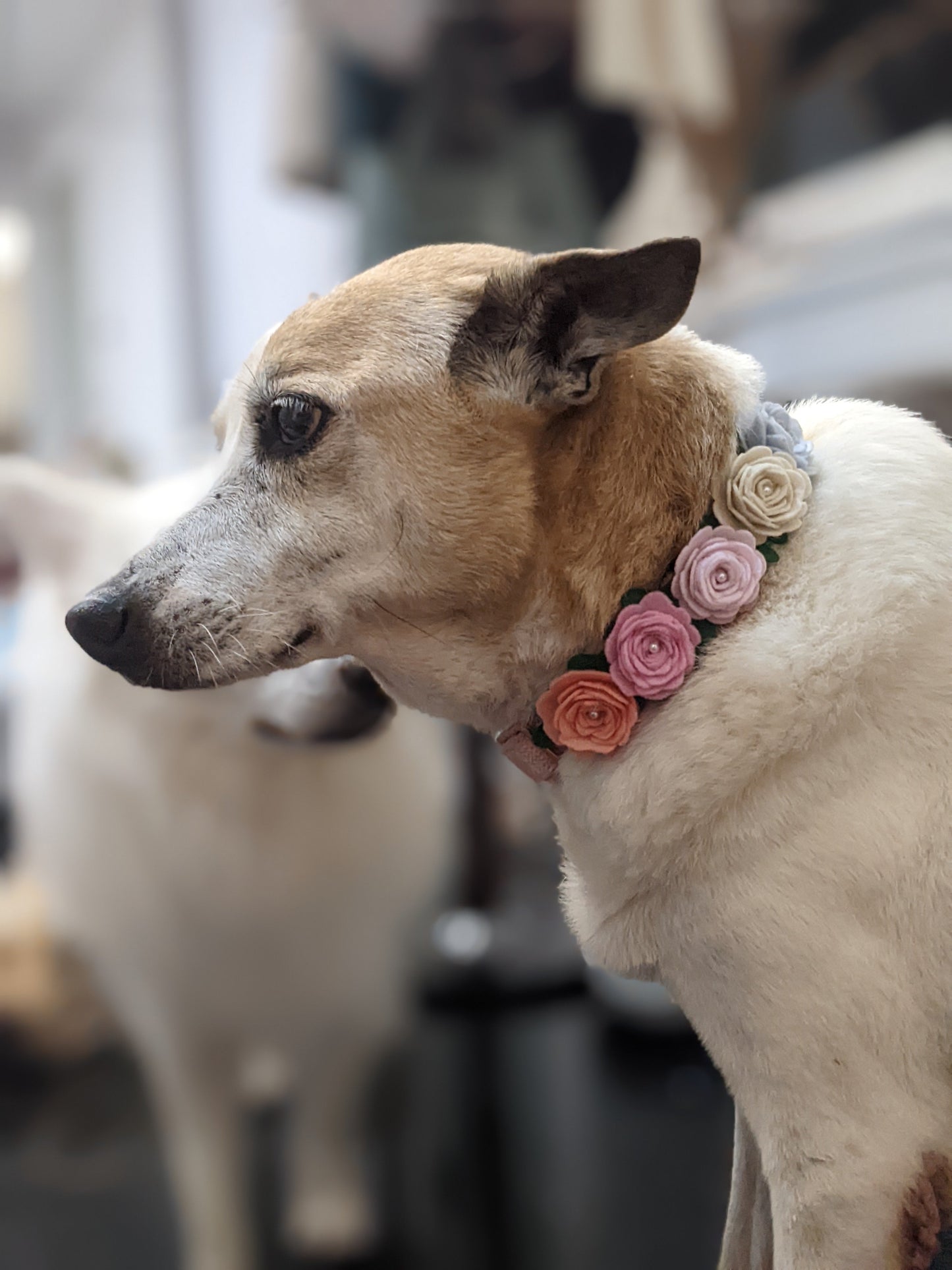 Pastel Hues Floral Charms