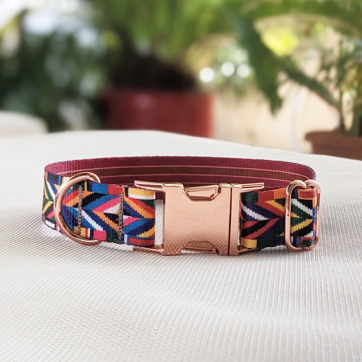 Small: Geometry Classic Collar