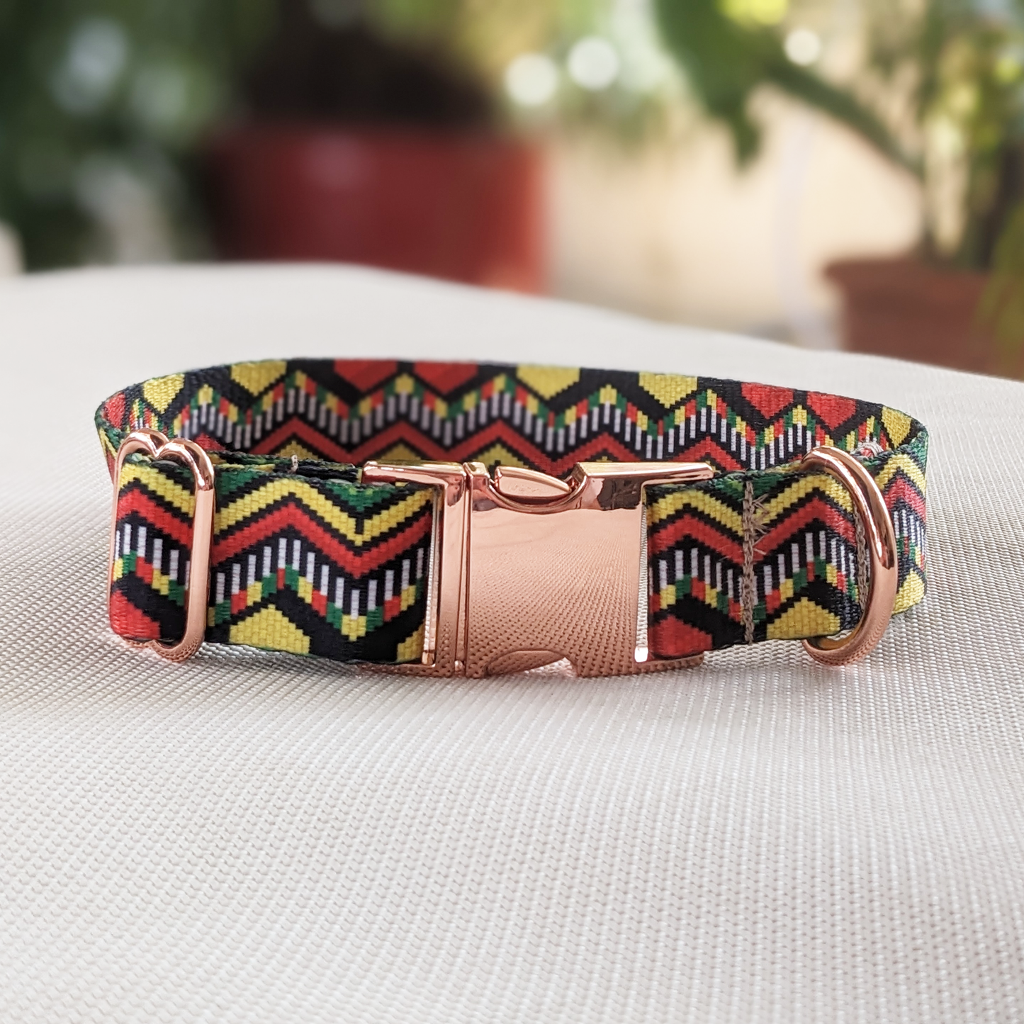 Medium: Symmetry Classic Collar