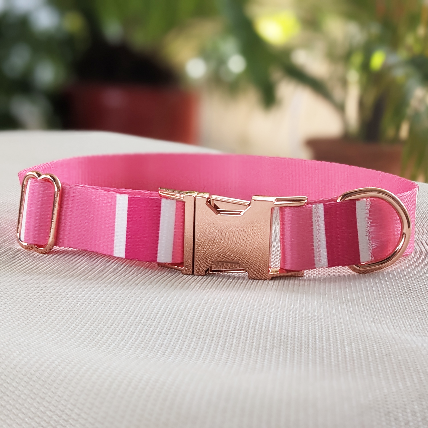Large: Pinky Classic Collar